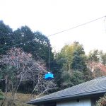 「ドローンを使った山間地域における処方箋薬の配送実証実験」に参画しました